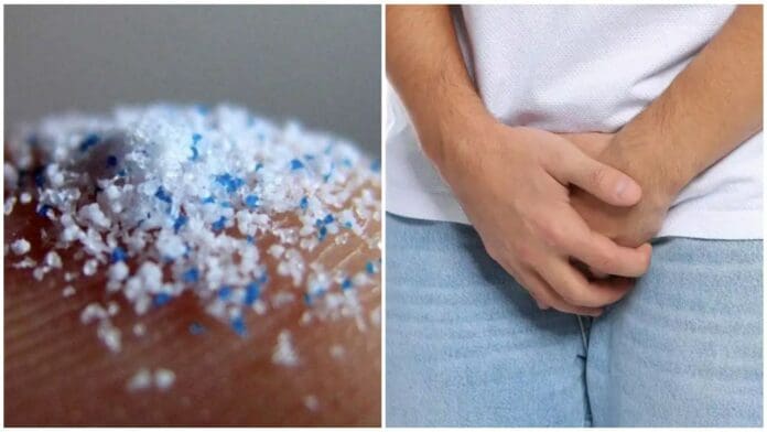 Hallan microplásticos en genitales masculinos y crecen las sospechas sobre su rol en la disfunción eréctil
