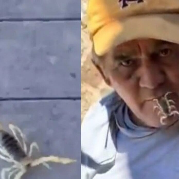 VIDEO: Captan a hombre en Durango comiéndose un alacrán vivo