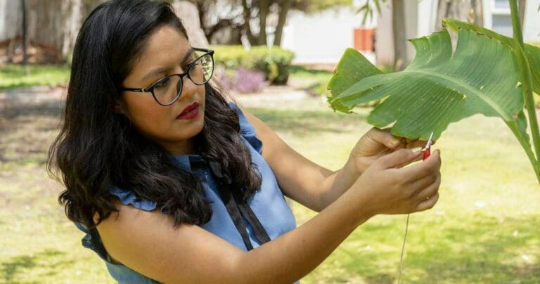 Científica mexicana logra producir música con sonidos generados por plantas