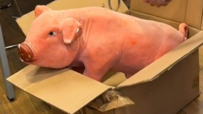 Hombre en Puebla compra auto de 58 mil pesos con los ahorros del cochinito