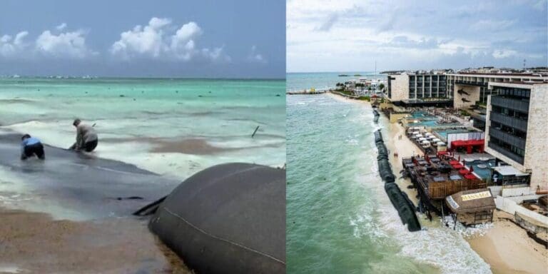 Piden ambientalistas que se retiren los geotubos del hotel Hyatt en Playa del Carmen