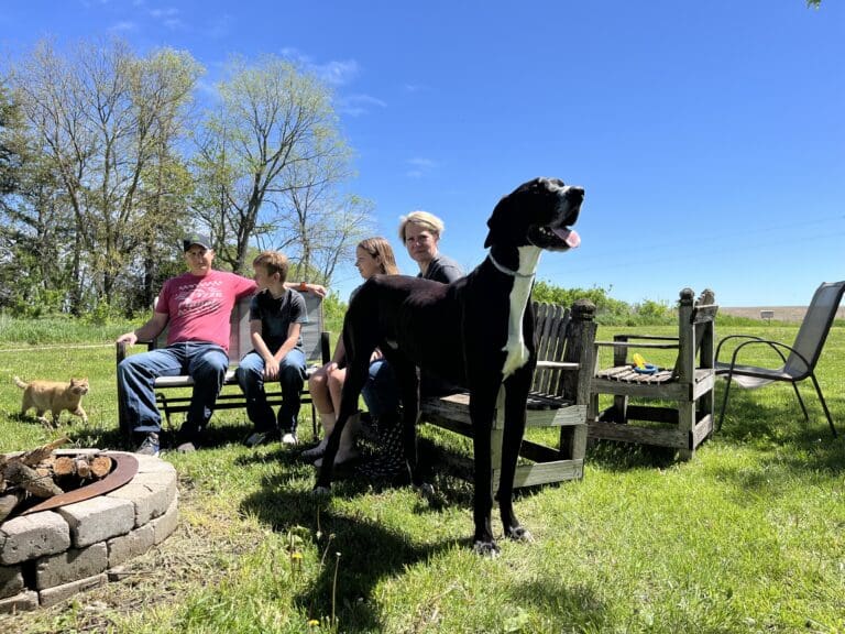 Murió Kevin, el perro macho más alto del mundo, pocos días después de batir el Récord Guinness