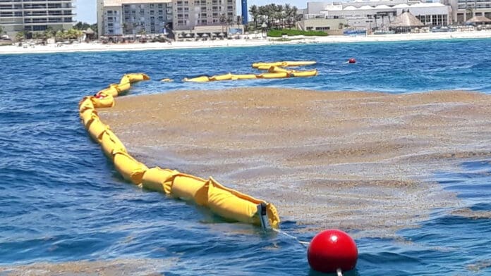 Compra Quintana Roo cuatro kilómetros más de barrera para contener sargazo