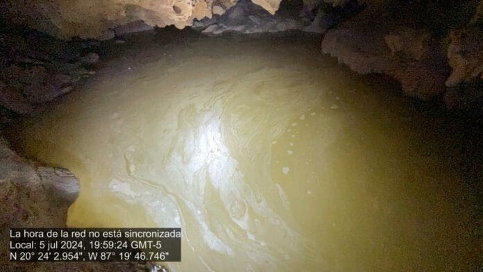 Exhiben cenote contaminado de Akumal debajo del Tren Maya