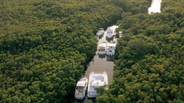 Manglares en laguna Nichupté sí protegieron embarcaciones; sin embargo, esa medida causó polémica