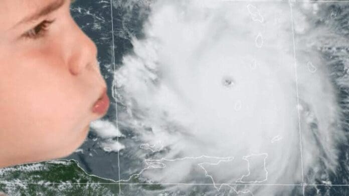 Ciudadanos se organizan en Playa del Carmen para 