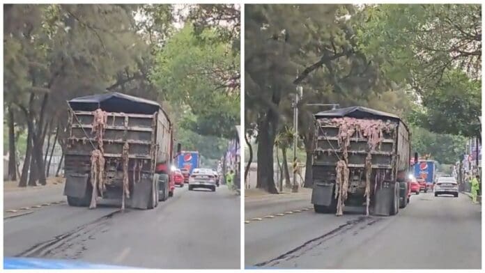 Camión cargado de vísceras deja desagradable rastro por las calles de CDMX