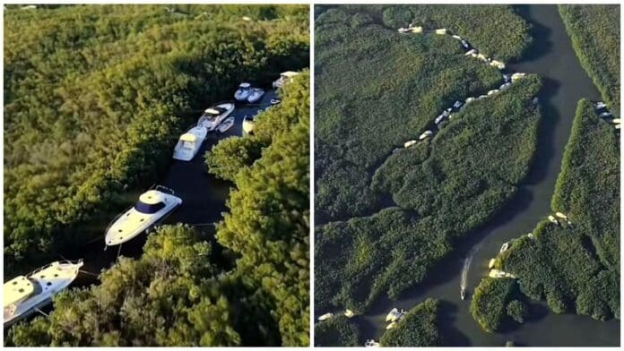 Video: Dueños de yates en Cancún resguardan sus embarcaciones en los manglares para evitar que el huracán Beryl los hunda