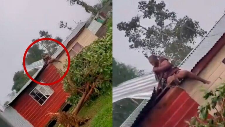 Video: Una mujer se aferró al techo de su casa en Jamaica para que el huracán Beryl no se lo llevara