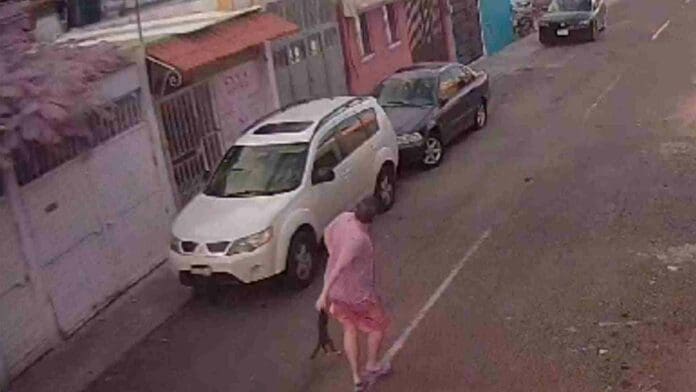 VIDEO: Hombre lanza a un gatito al cableado de luz en Querétaro
