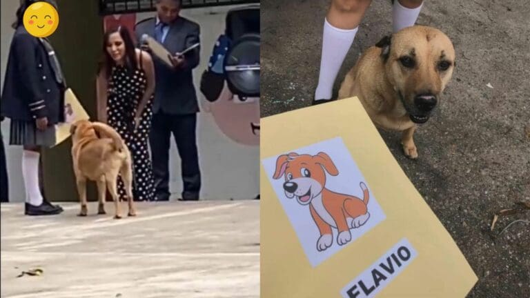 Conoce a Flavio, el perrito que se graduó de la primaria en Guadalajara