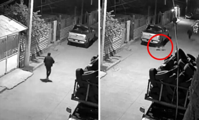 Video: Perrito salva su casa de un asalto en Tultitlán, Edomex