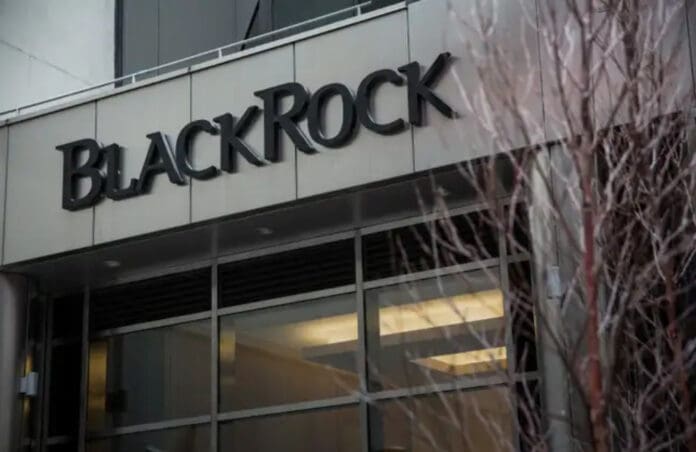 Blackrock, multinacional que tiene negocios con la 4T, retira publicidad donde aparecía tirador de Trump