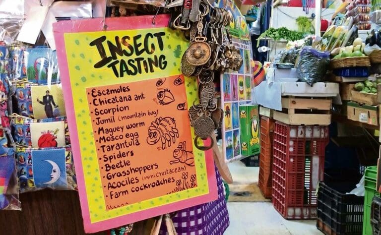 “Chicken con mole”: Acusan de gentrificación a comerciantes en Coyoacán, CDMX por ofrecer productos en inglés