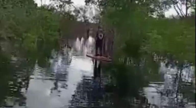 Video: Ambientalistas “navegan” por las obras inundadas del Tren Maya en Bacalar