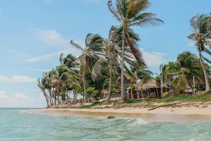 Invitan a los prestadores de servicios del Caribe Mexicano a formar parte del Catálogo del Turismo de Naturaleza.