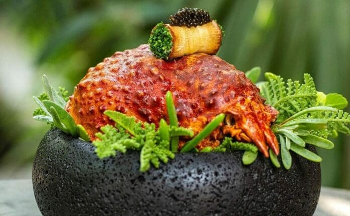 Tulum será nuevamente sede de la entrega de premios 2024 de la plataforma MexBest, que reconoce a los mejor del turismo y gastronomía.