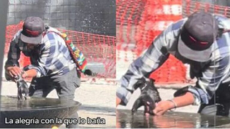 VIDEO: Hombre se hace viral por bañar a su perrito en una fuente