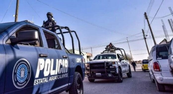 Policías de Aguascalientes fueron acusados de matar con saña a una perrita recién parida tras allanar de manera ilegal un domicilio.