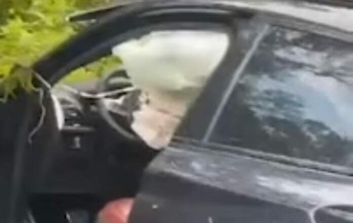 El conductor de un vehículo de lujo BMW perdió la vida luego de accidentarse en el tramo Tulum-Cobá este domingo y salirse de la vía.