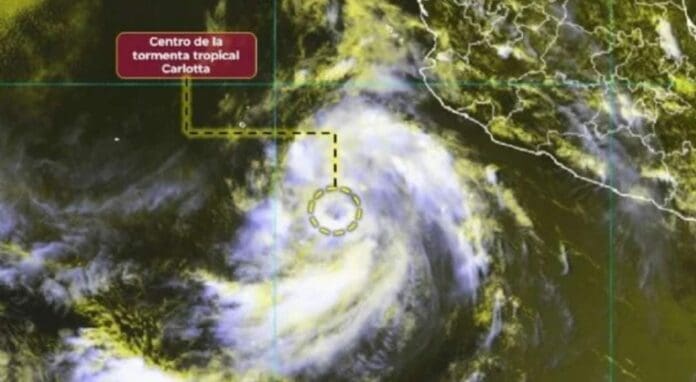 Se forma tormenta tropical Carlotta en el Pacífico; sería huracán el viernes. Sigue activa la temporada 2024.