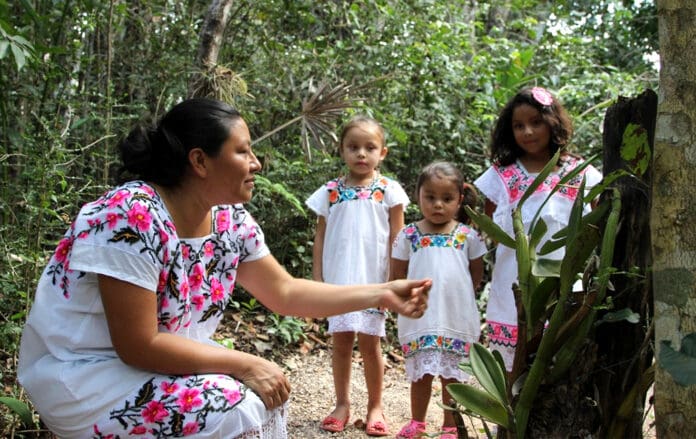 Demandan políticas públicas alineadas con las necesidades mayas en Quintana Roo