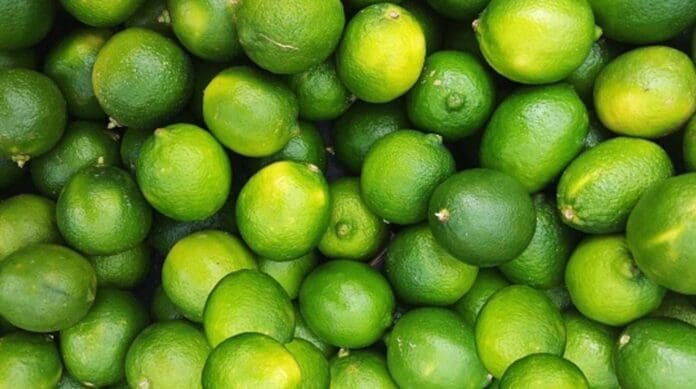 Plantas industriales de limón en Michoacán cierran por cobro de piso