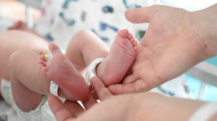 Abandonan a bebé recién nacido envuelto en papel higiénico en Tabasco, hospital le niega atención y muere