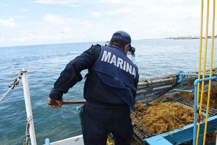 La Federación reconoció al gobierno de Mara Lezama por sus acciones para contener el recale de sargazo en la entidad.