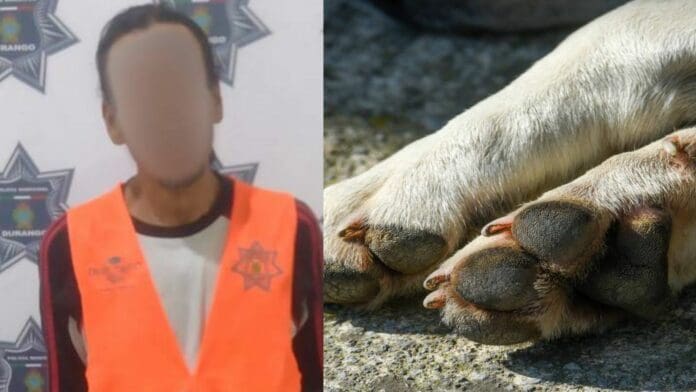 Hombre crucifica a un perro y es detenido en Durango