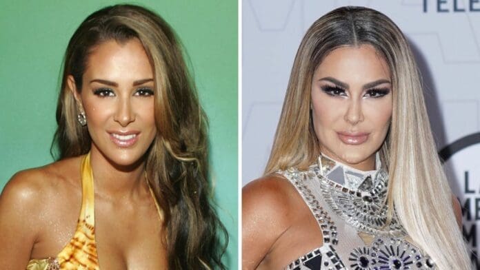 Internautas critican a Ninel Conde por lucir irreconocible