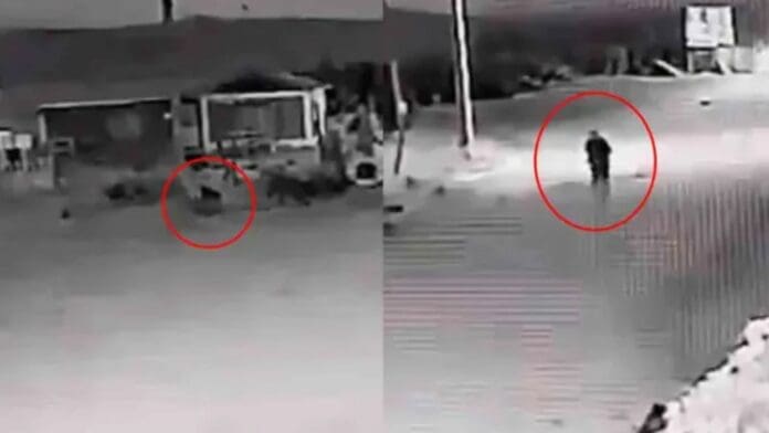 Video: Captan a supuesto nahual en plena transformación de perro a humano