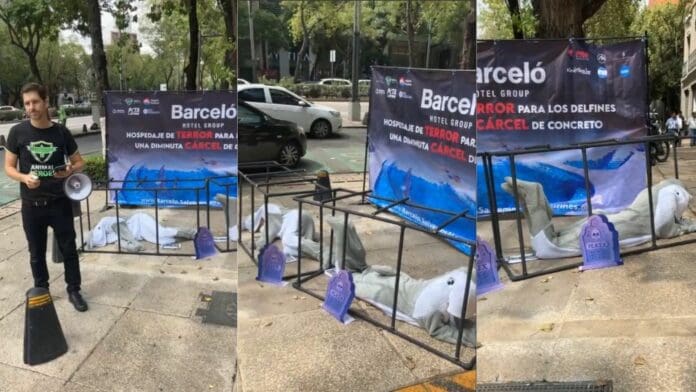 Activistas se manifiestan frente a Barceló en CDMX para exigir el cierre del delfinario de Barceló Maya Grand Resort, en Playa del Carmen