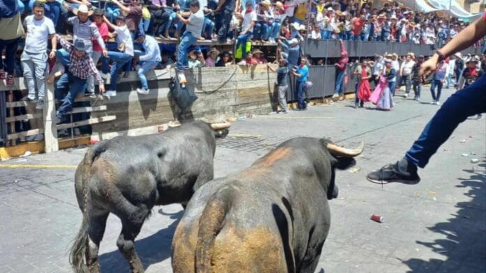 Huamantlada en Tlaxcala deja 21 heridos; uno debate entre la vida y la muerte