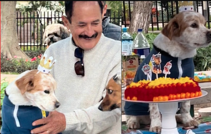 VIDEO: Hombre se hace viral por festejar 'en grande' el cumpleaños de su perrito en un parque
