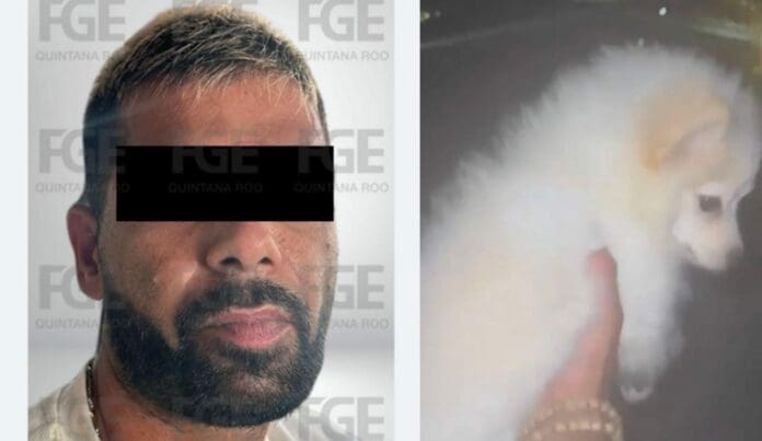 Ha sido detenido un sujeto de origen extranjero que lanzó a un perrito desde el octavo piso de un edificio en Cancún.