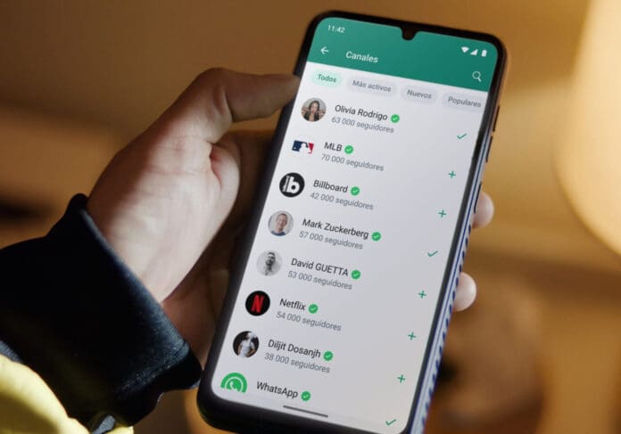 WhatsApp ofrecerá a sus usuarios poder elegir el color principal de la aplicación
