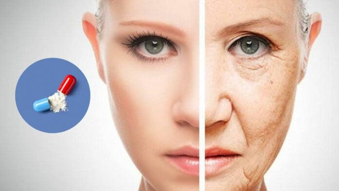 Crean pastilla que combate el envejecimiento; podría probarse en humanos en 2025