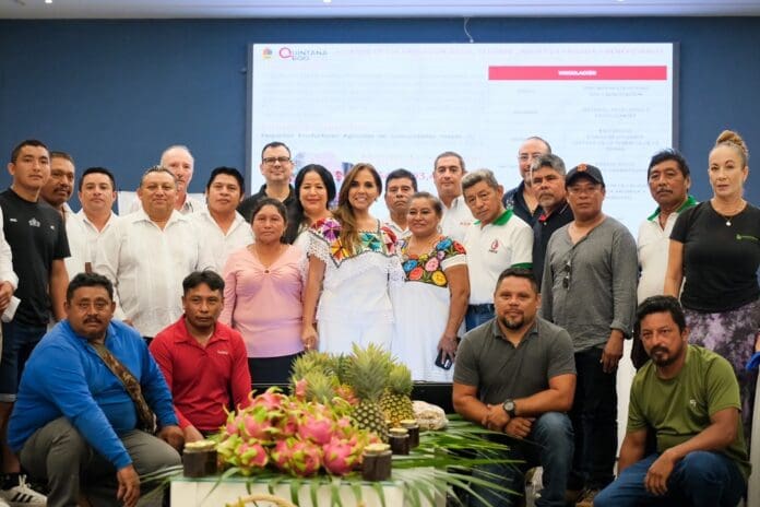 Impulsaremos la venta directa, sin intermediarios y con precios justos a productores del campo de Quintana Roo: Mara Lezama
