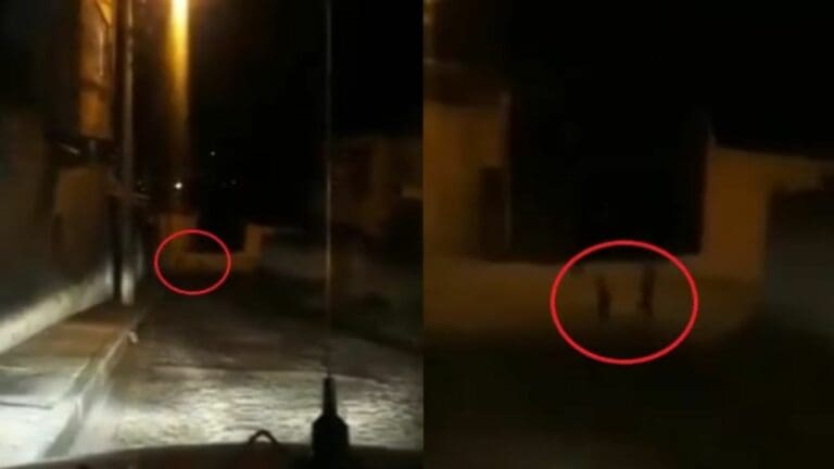 Taxista capta supuestos duendes jugando de noche por las calles