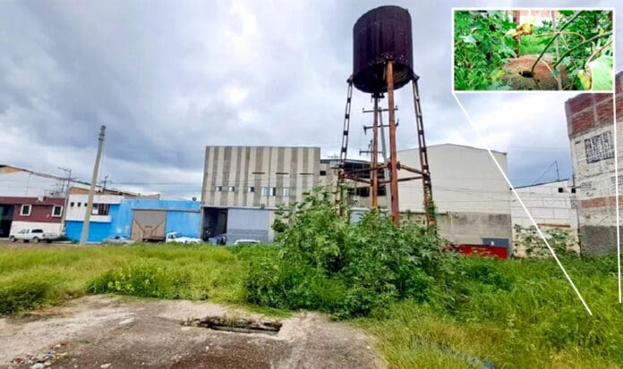 Macabro: localizan más de 10 cuerpos en un pozo de León, Guanajuato