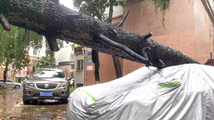 Video: Desalojan a 400 mil personas en Shanghái por tifón Bebinca, el más fuerte en 75 años