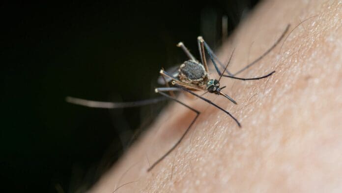 Hombre contrae tres enfermedades luego de ser picado por un mosquito; está conectado a un respirador