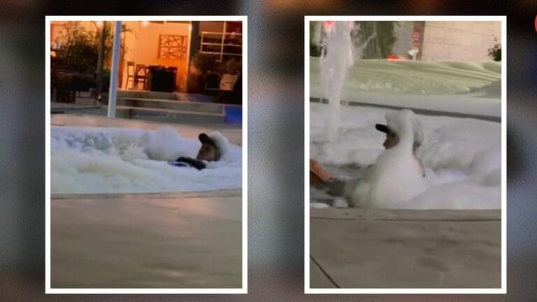 VIDEO: Hombre agrega jabón a fuente de Sinaloa y lo convierte en jacuzzi