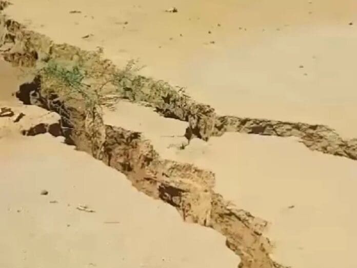 Enorme grieta se 'traga' a unos becerros en Sonora