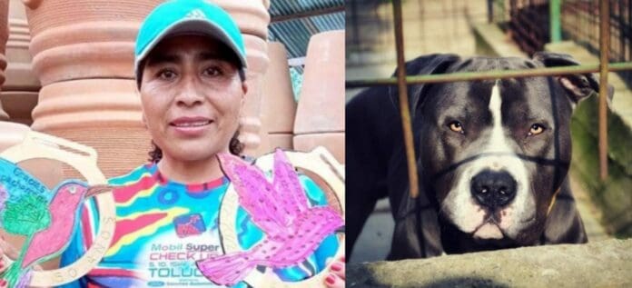Una corredora de Oaxaca podría perder ambos brazos luego que fuera atacada por tres perros de raza Pitbull.