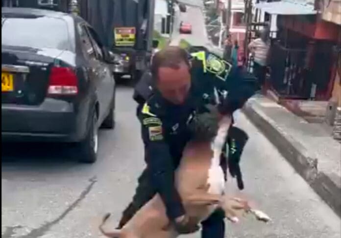 Video: Policía mata a balazos a un pitbull luego de atacar a uno de los agentes en Colombia