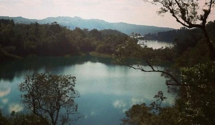 Pobladores denuncian que el narco se ha infiltrado en la Selva Lacandona en Chiapas y que las autoridades no intervienen.