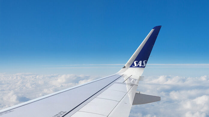 Ratón salta de la comida de un pasajero y obliga a aterrizar de emergencia un avión