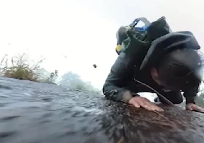 Video: Excursionista se resbala en una montaña y sobrevive gracias a un árbol en China